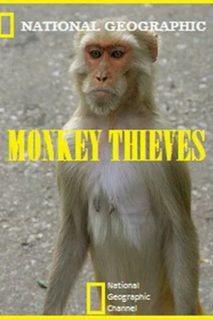 Обезьяны-воришки 1-2 сезон онлайн